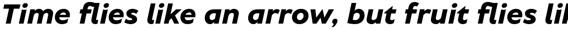 TT Wellingtons ExtraBold Italic