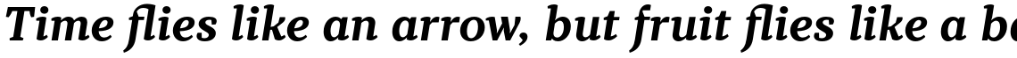 TT Tricks Bold Italic