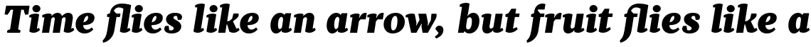 TT Tricks Black Italic
