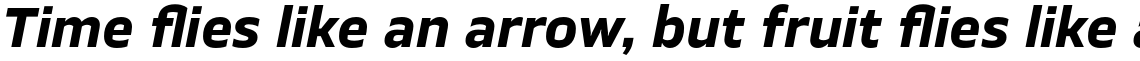 TT Severs Bold Italic