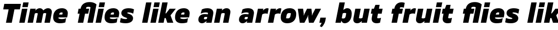 TT Severs Black Italic