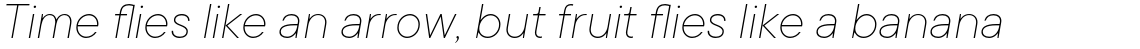TT Commons Thin Italic