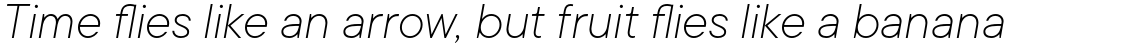 TT Commons ExtraLight Italic