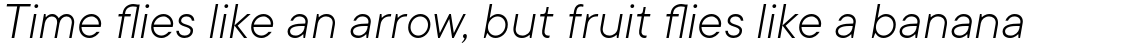 TT Commons Light Italic