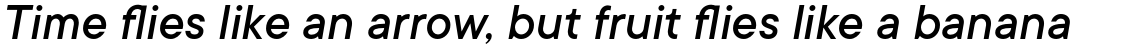 TT Commons Medium Italic