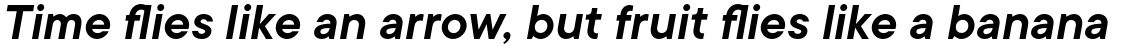 TT Commons DemiBold Italic