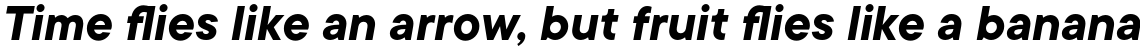 TT Commons Bold Italic