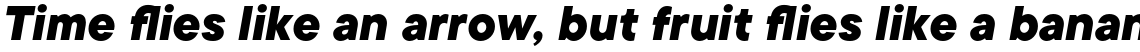 TT Commons ExtraBold Italic