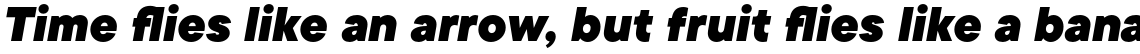 TT Commons Black Italic