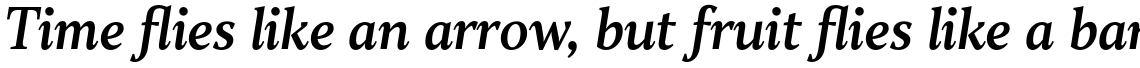TT Jenevers Medium Italic