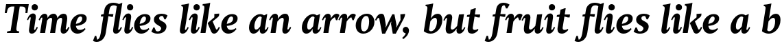 TT Jenevers Bold Italic