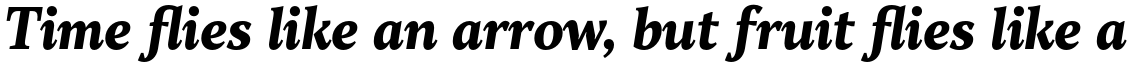 TT Jenevers ExtraBold Italic