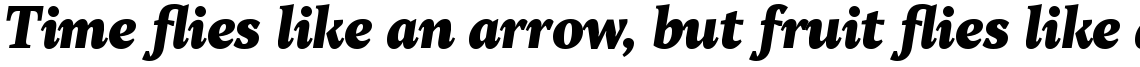 TT Jenevers Black Italic