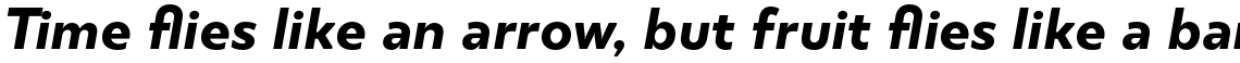 TT Smalls Bold Italic