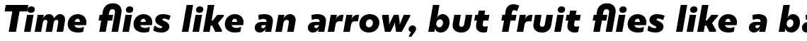 TT Smalls Extra Bold Italic