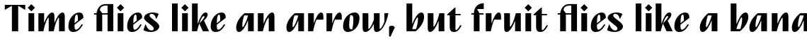 TT Nooks Script Bold