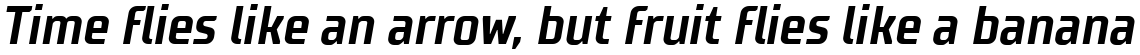 TT Supermolot Condensed Bold Italic