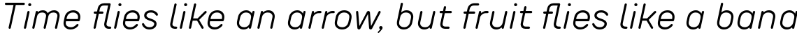 TT Rounds Neue Light Italic