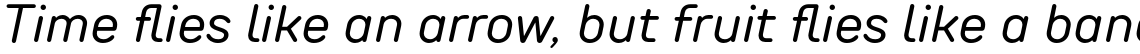 TT Rounds Neue Regular Italic