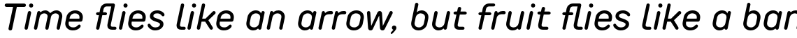 TT Rounds Neue Medium Italic
