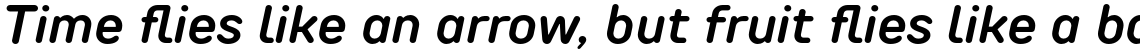 TT Rounds Neue DemiBold Italic