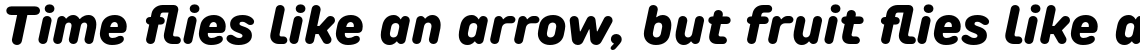 TT Rounds Neue ExtraBold Italic
