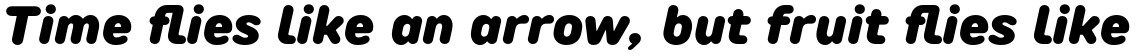 TT Rounds Neue Black Italic