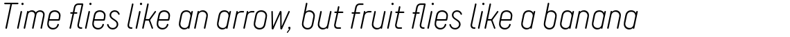 TT Rounds Neue Compressed ExtraLight Italic