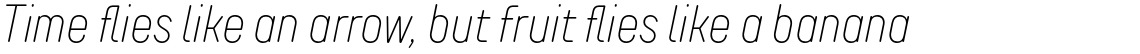 TT Rounds Neue Compressed Thin Italic