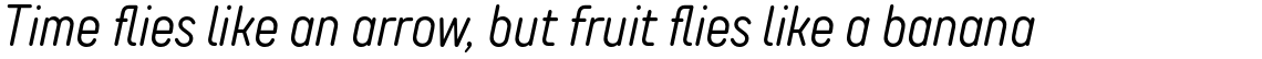 TT Rounds Neue Compressed Light Italic