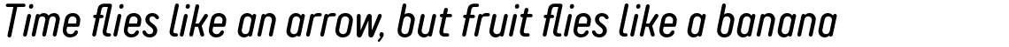TT Rounds Neue Compressed Regular Italic