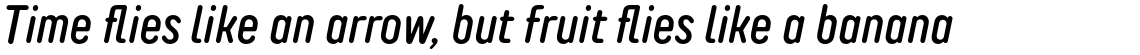 TT Rounds Neue Compressed Medium Italic