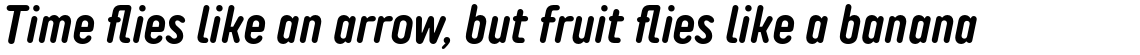 TT Rounds Neue Compressed DemiBold Italic