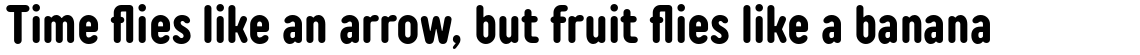 TT Rounds Neue Compressed Bold