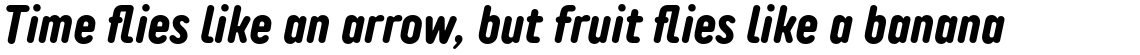 TT Rounds Neue Compressed Bold Italic