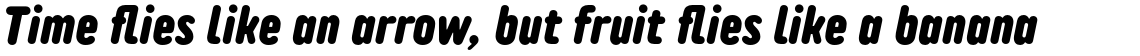 TT Rounds Neue Compressed ExtraBold Italic