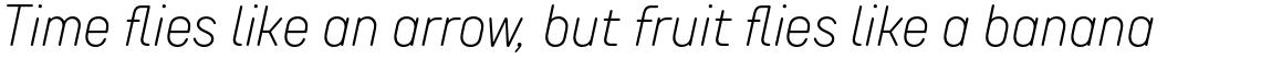 TT Rounds Neue Condensed ExtraLight Italic