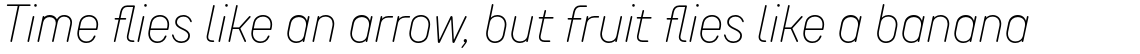 TT Rounds Neue Condensed Thin Italic