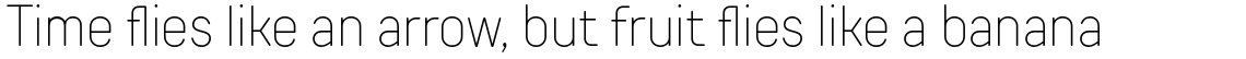 TT Rounds Neue Condensed Thin