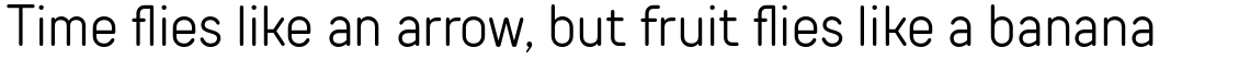 TT Rounds Neue Condensed Light