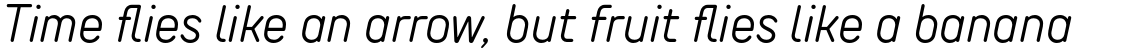 TT Rounds Neue Condensed Light Italic