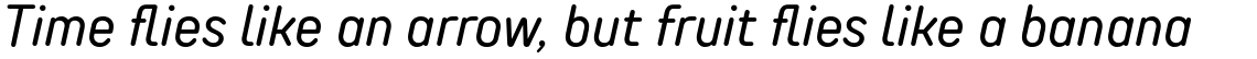 TT Rounds Neue Condensed Regular Italic