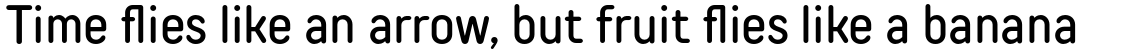 TT Rounds Neue Condensed Medium