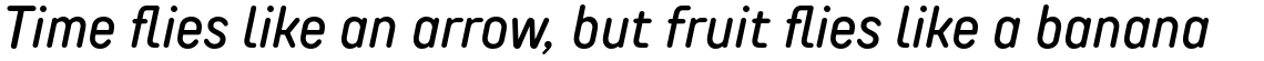 TT Rounds Neue Condensed Medium Italic