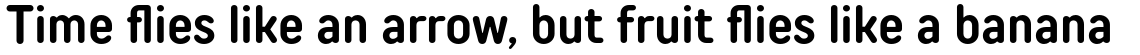 TT Rounds Neue Condensed DemiBold