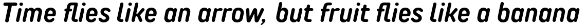 TT Rounds Neue Condensed DemiBold Italic