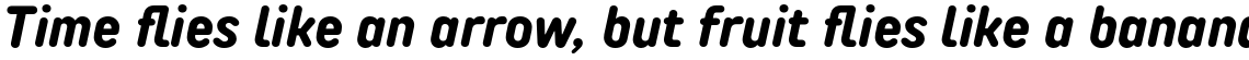 TT Rounds Neue Condensed Bold Italic