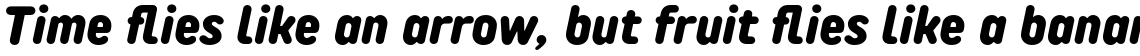 TT Rounds Neue Condensed ExtraBold Italic