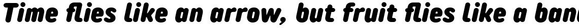 TT Rounds Neue Condensed Black Italic