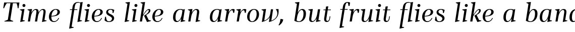 TT Barrels Regular Italic